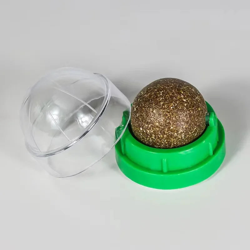 Catnip Fun Wall Ball