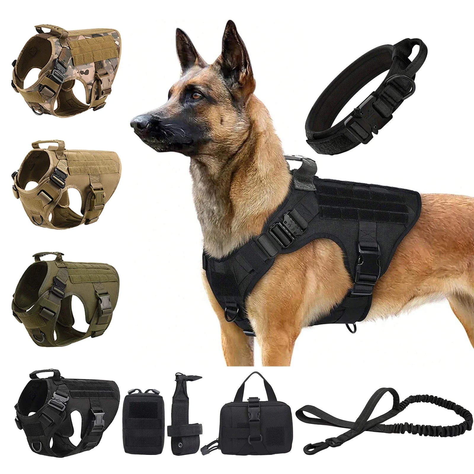 Ultimate Dog Adventure Gear