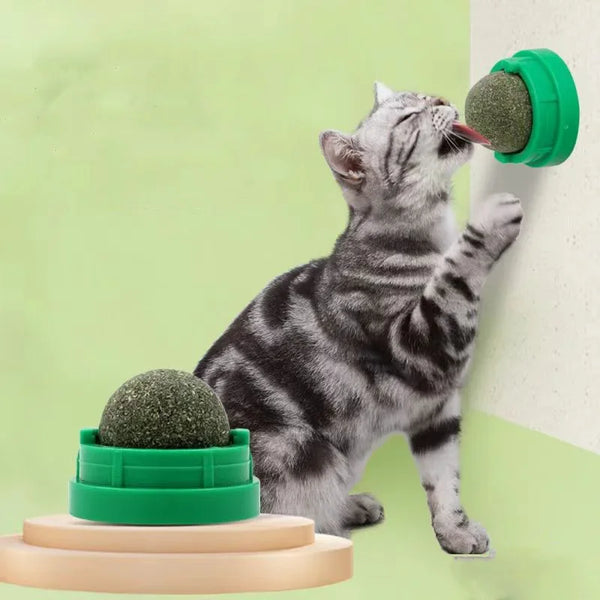 Product placeholder