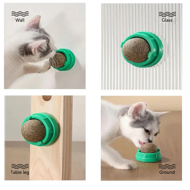 Catnip Fun Wall Ball