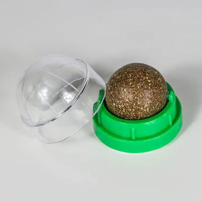 Catnip Fun Wall Ball