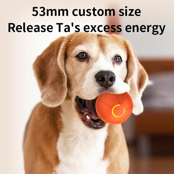 Interactive Smart Pet Ball