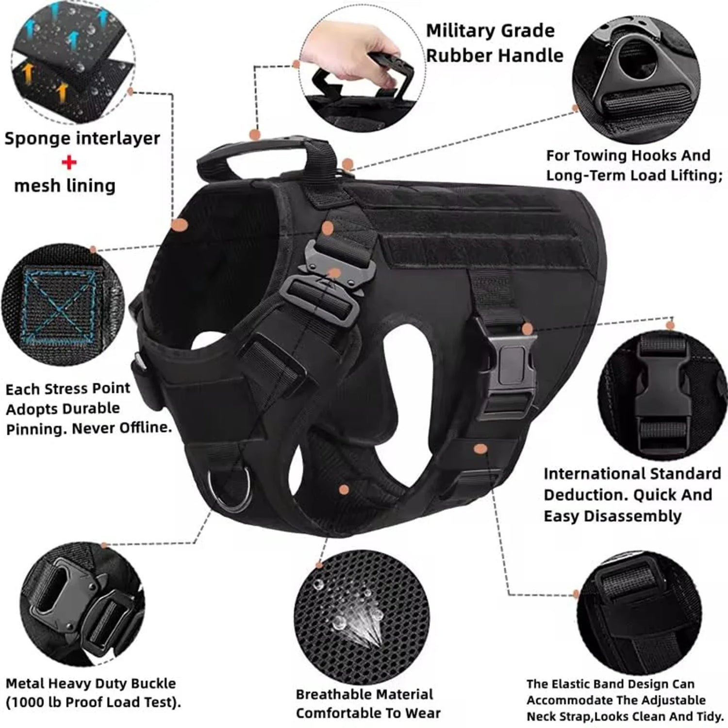 Ultimate Dog Adventure Gear