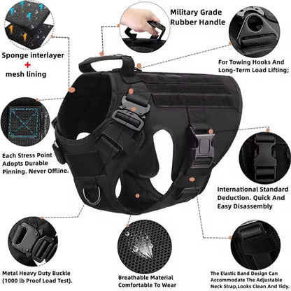 Ultimate Dog Adventure Gear