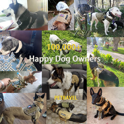 Ultimate Dog Adventure Gear
