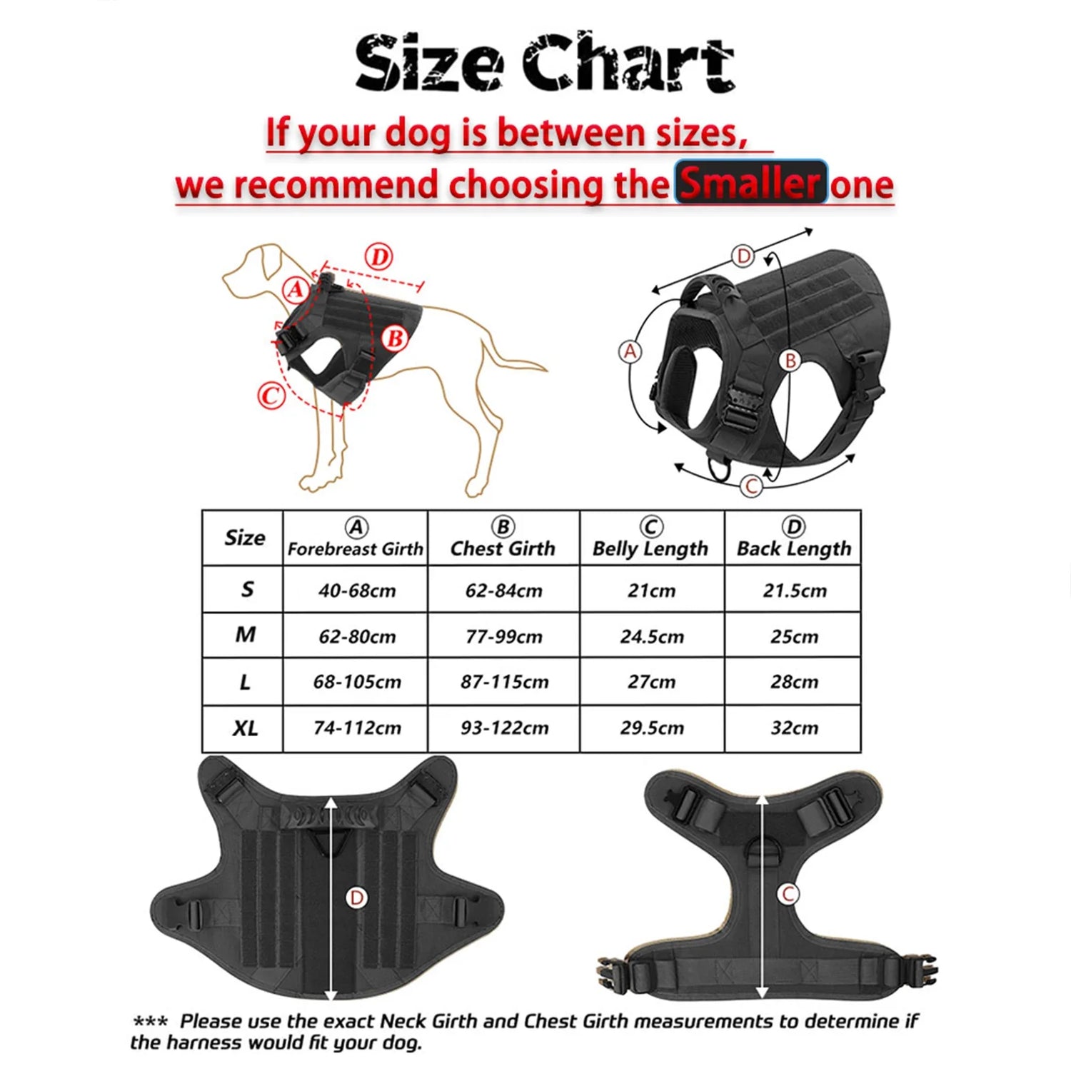 Ultimate Dog Adventure Gear