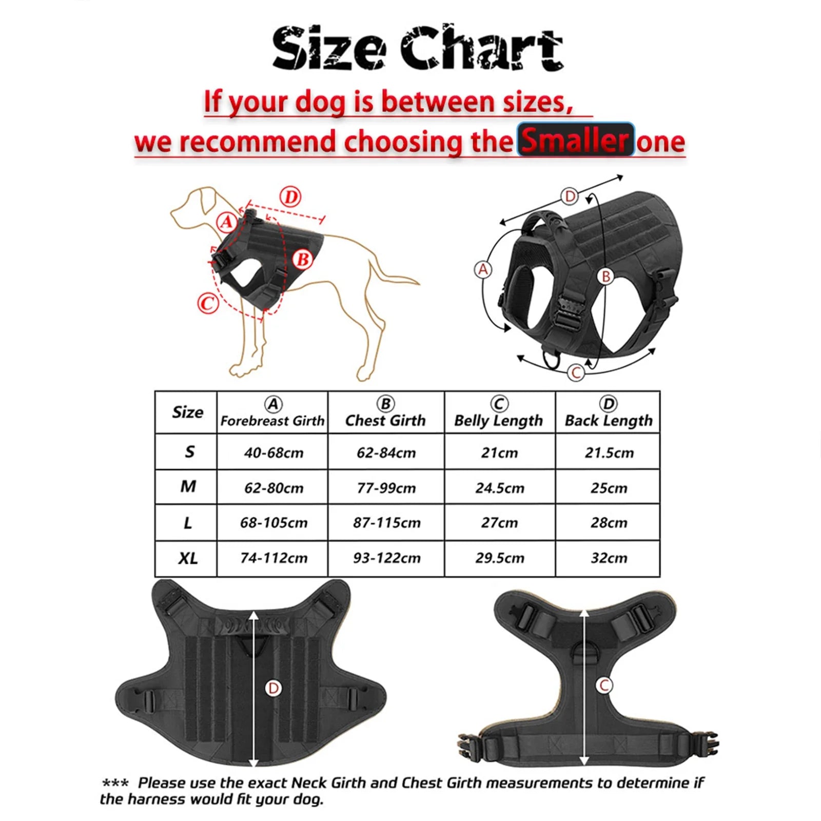 Ultimate Dog Adventure Gear