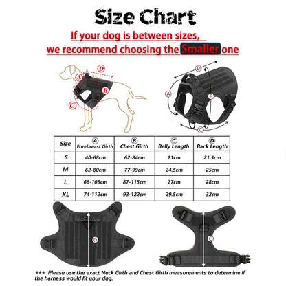 Ultimate Dog Adventure Gear